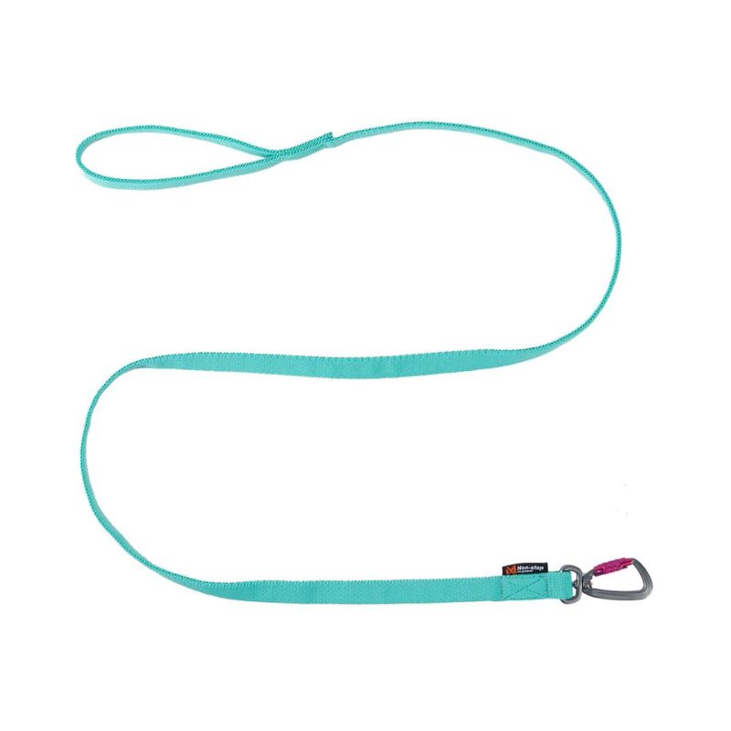 Non-stop dogwear Bungee leash joustotalutin, aqua