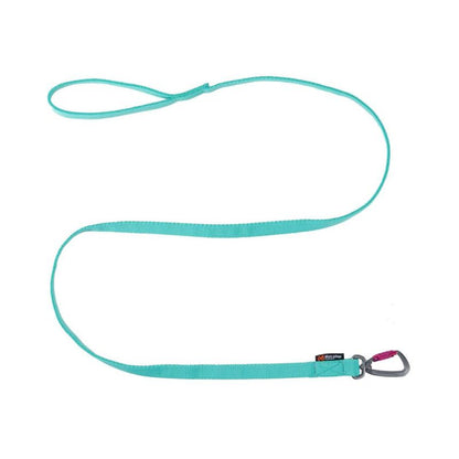 Non-stop dogwear Bungee leash joustotalutin, aqua