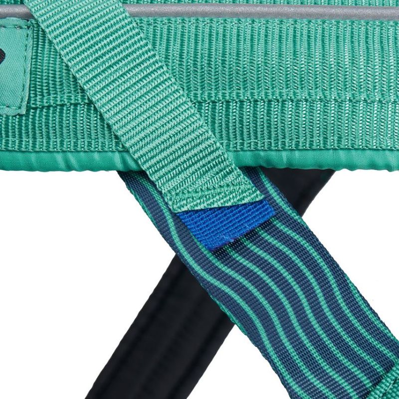 Non-stop dogwear Freemotion 5.0 vetovaljas, aqua