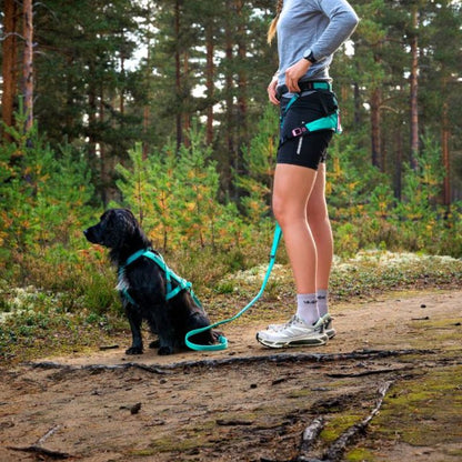 Non-stop dogwear Bungee leash joustotalutin, aqua