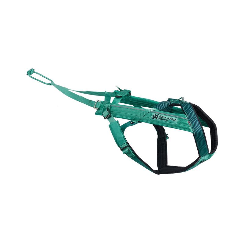 Non-stop dogwear Freemotion 5.0 vetovaljas, aqua