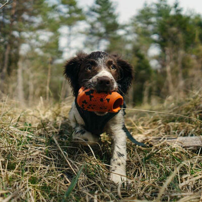 Non-stop dogwear Dog throw toy heittolelu, musta-oranssi