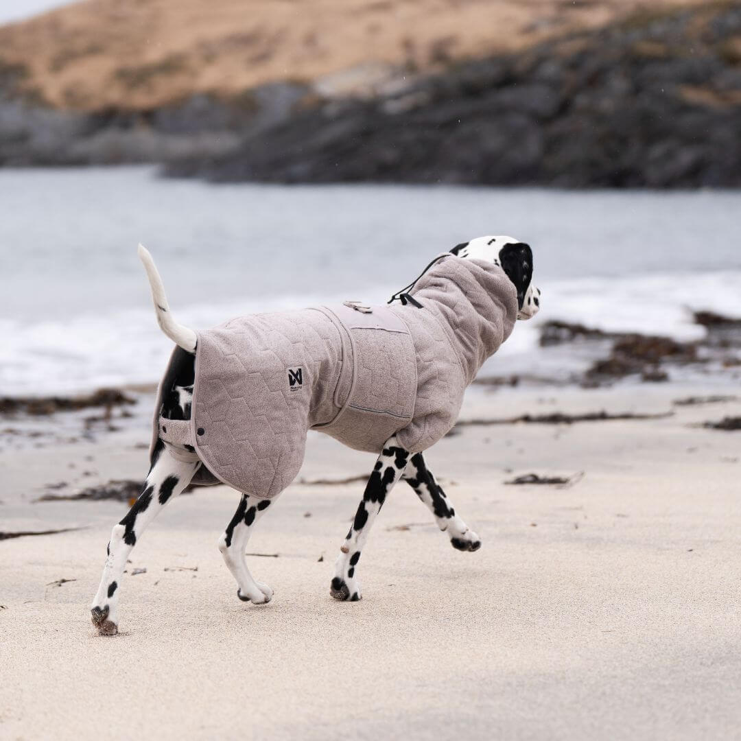 Non-stop dogwear Drying coat, sand