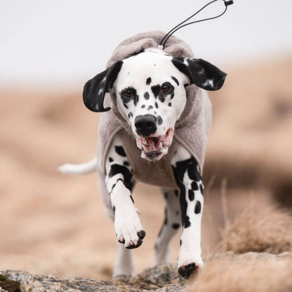 Non-stop dogwear Drying coat, sand