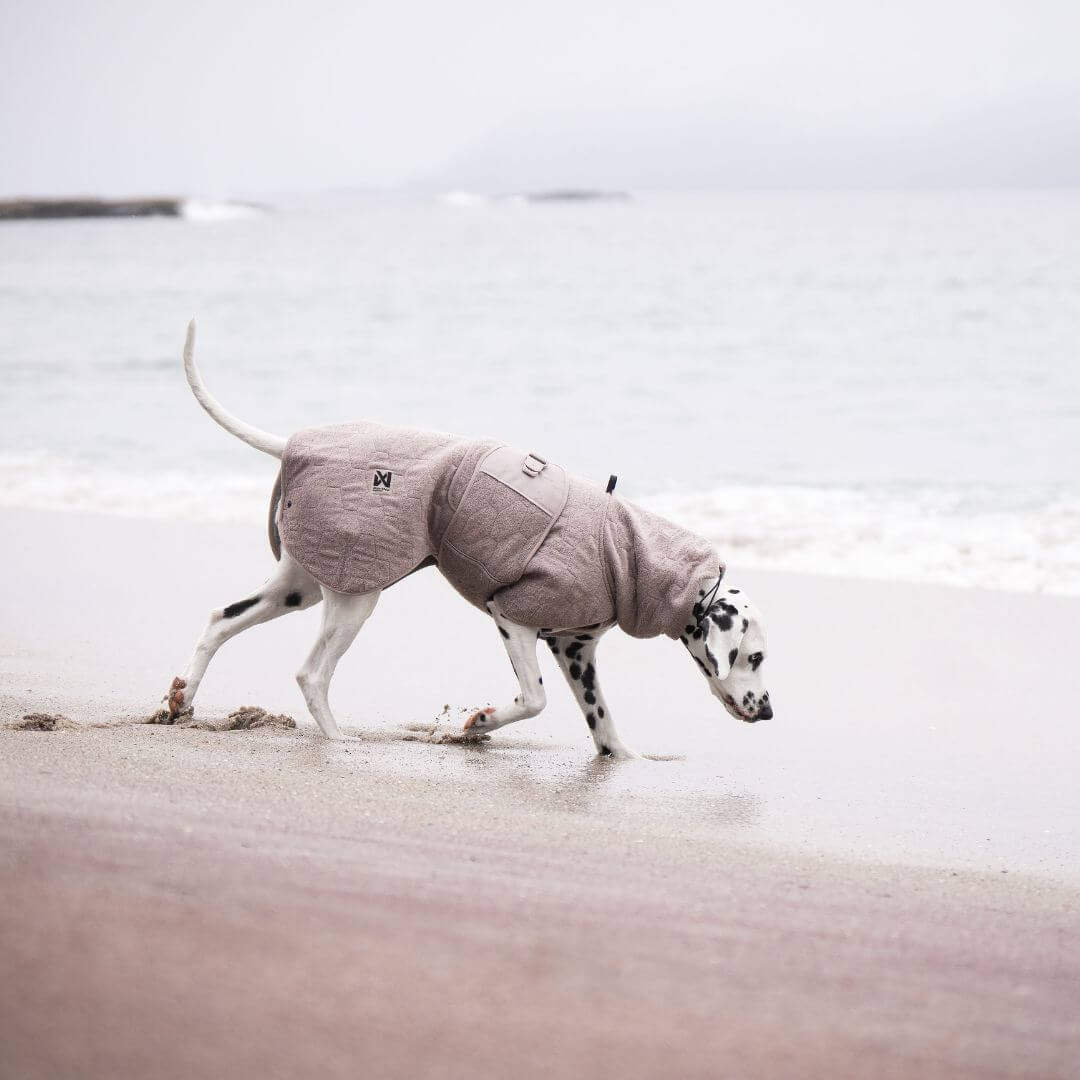 Non-stop dogwear Drying coat, sand