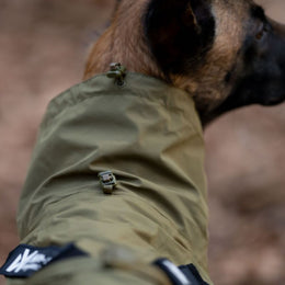 Non-stop dogwear Fjord WD koiran sadetakki, oliivi
