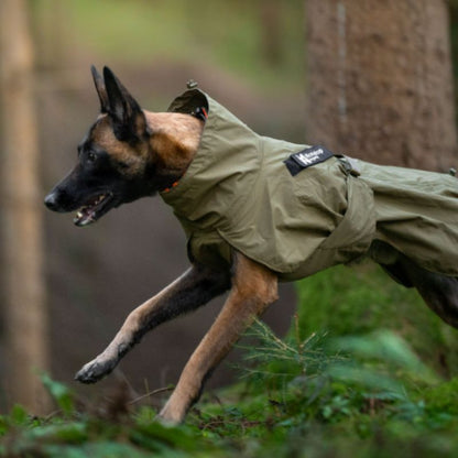 Non-stop dogwear Fjord WD koiran sadetakki, oliivi