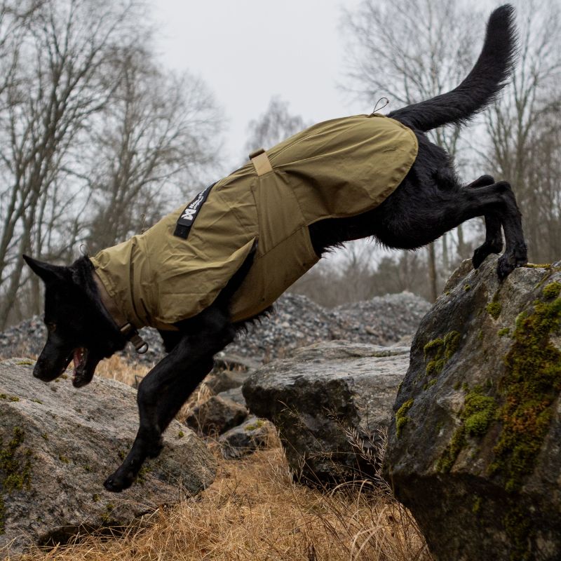 Non-stop dogwear Fjord WD koiran sadetakki, oliivi