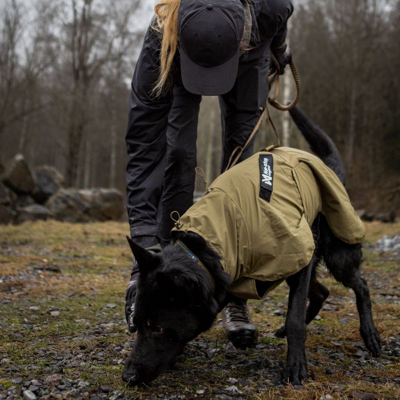 Non-stop dogwear Fjord WD koiran sadetakki, oliivi