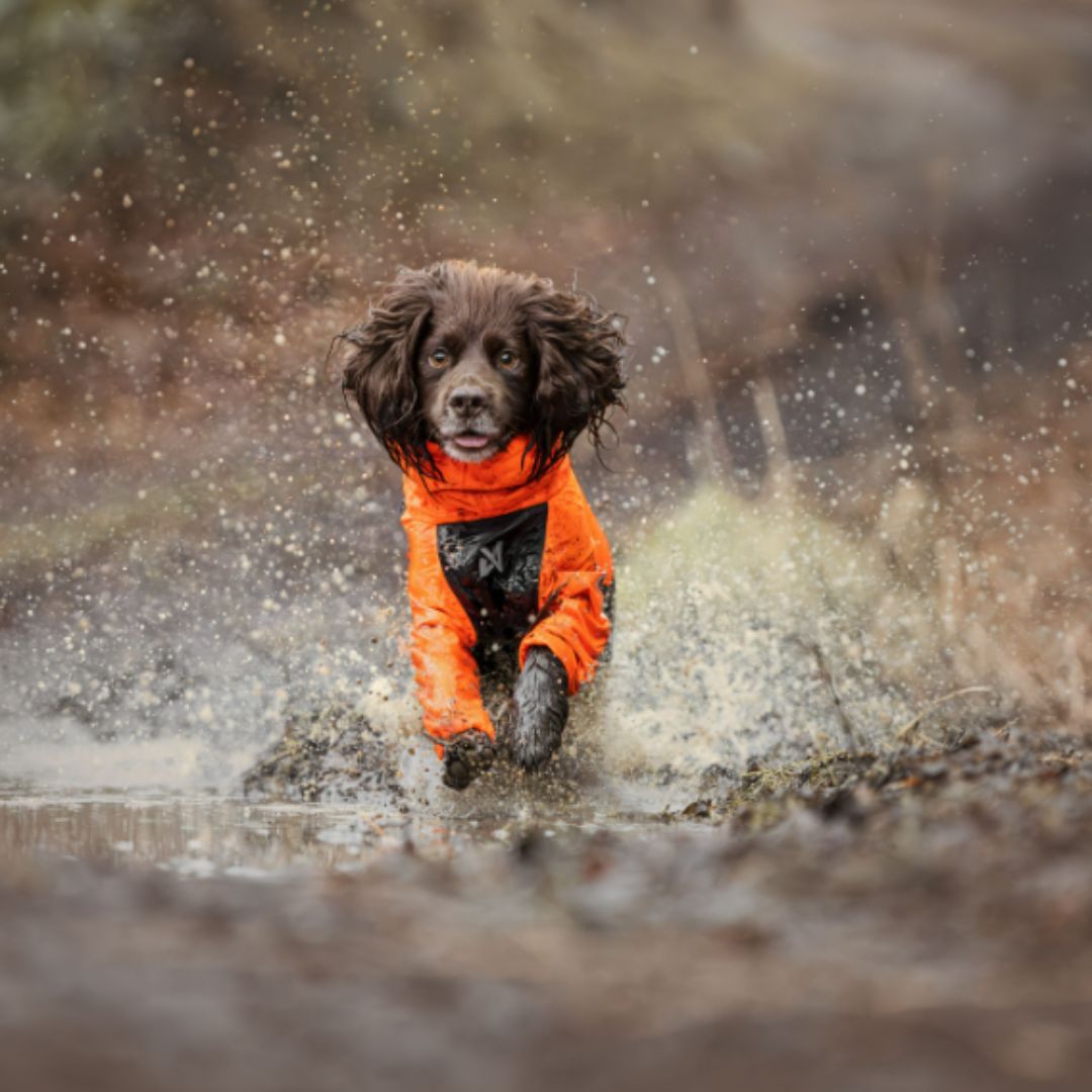 Non-stop dogwear Fjord overall koiran sadehaalari, oranssi