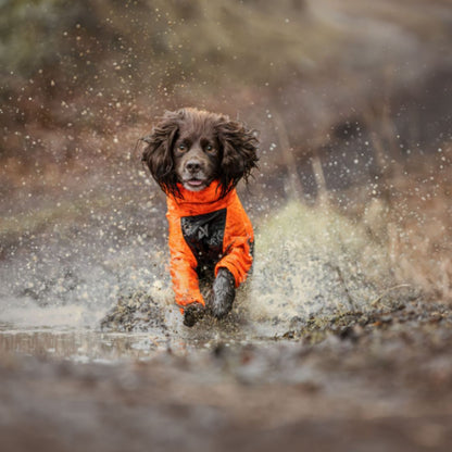 Non-stop dogwear Fjord overall koiran sadehaalari, oranssi