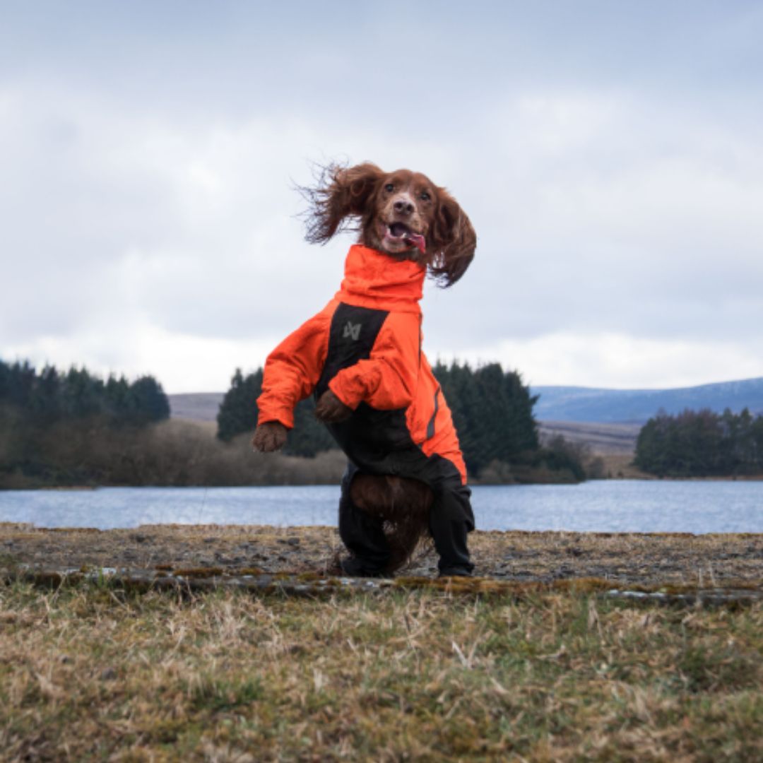 Non-stop dogwear Fjord overall koiran sadehaalari, oranssi