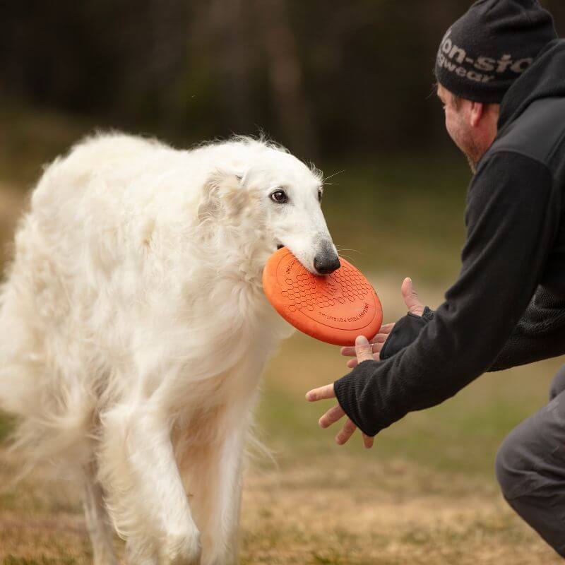 Non-stop dogwear Dog flying disc frisbee, oranssi-musta