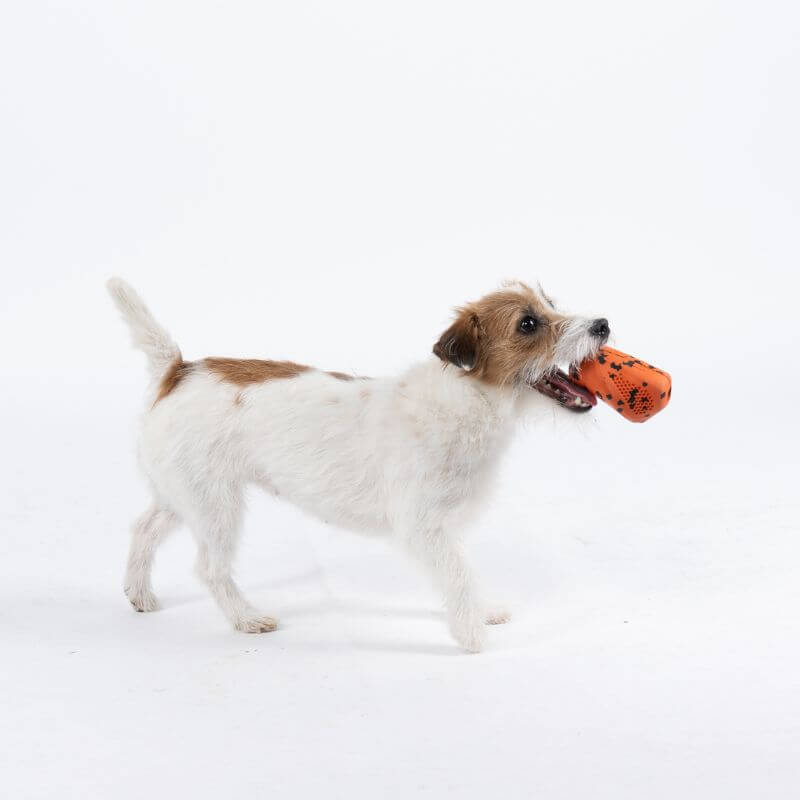 Non-stop dogwear Dog throw toy heittolelu, musta-oranssi