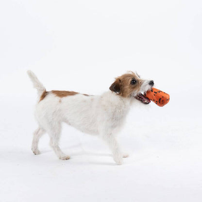 Non-stop dogwear Dog throw toy heittolelu, musta-oranssi