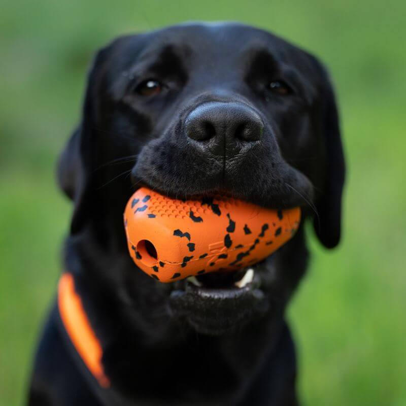 Non-stop dogwear Dog throw toy heittolelu, musta-oranssi