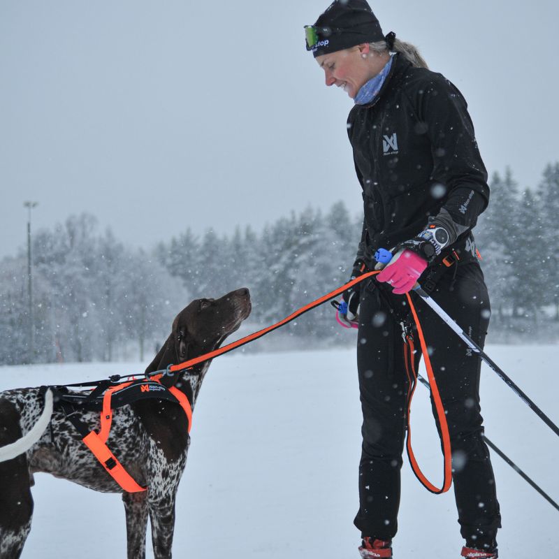 Non-stop dogwear Løype belt pro, musta
