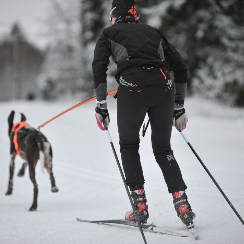 Non-stop dogwear Løype belt pro, musta