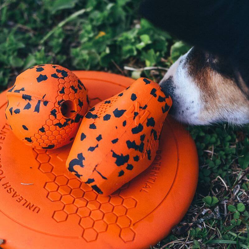 Non-stop dogwear Dog Ball koiran pallo