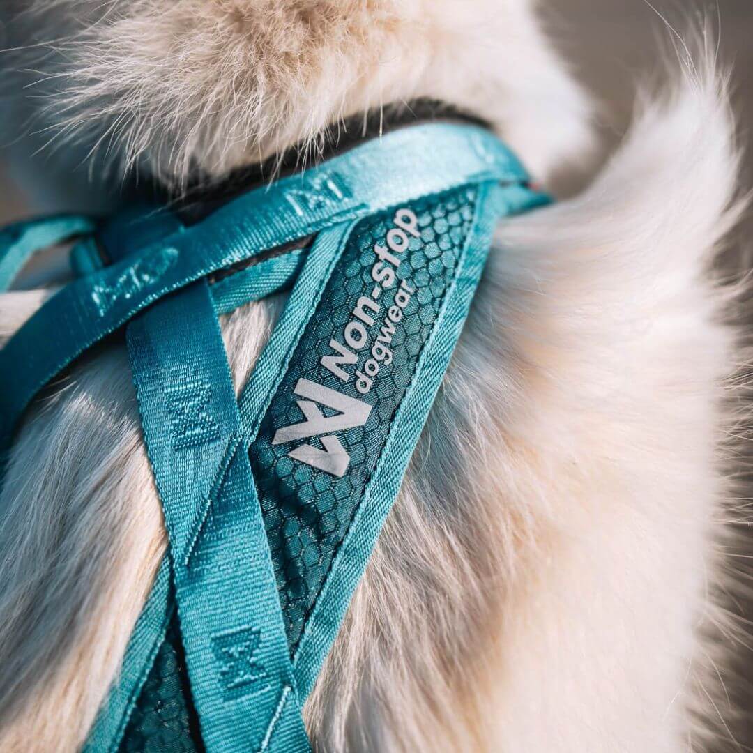 Non-stop dogwear Rush harness lyhyt vetovaljas, teal