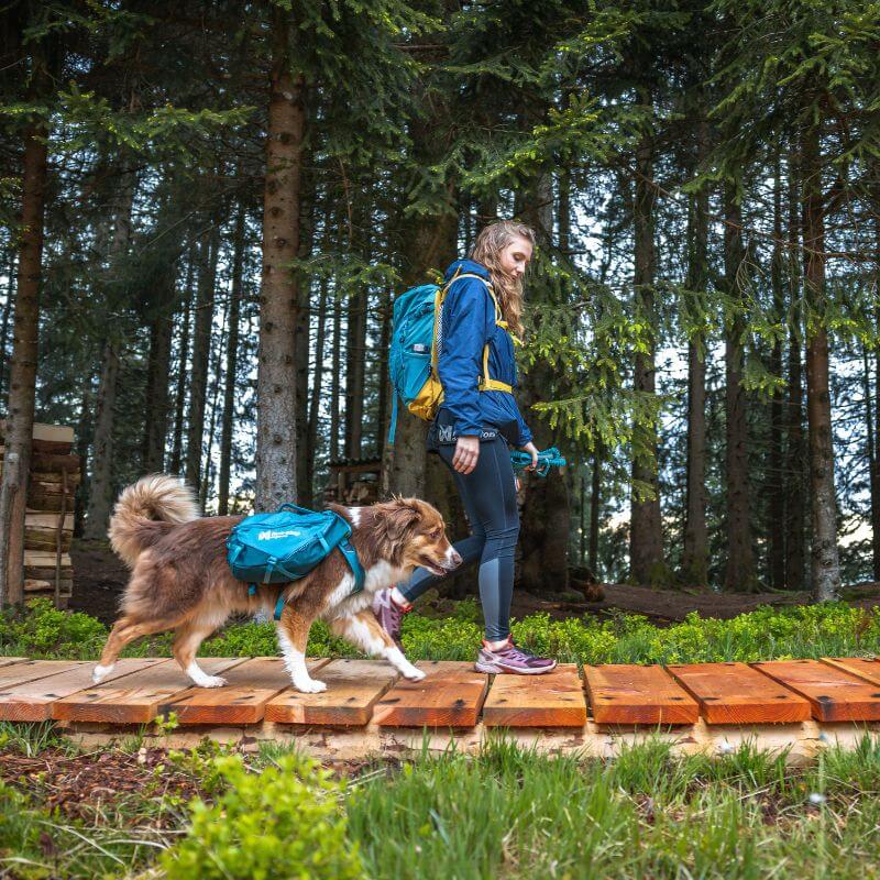Non-stop dogwear Trail quest dog backpack koiran reppu, sininen