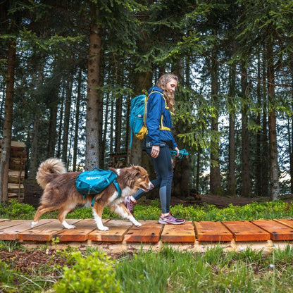Non-stop dogwear Trail quest dog backpack koiran reppu, sininen