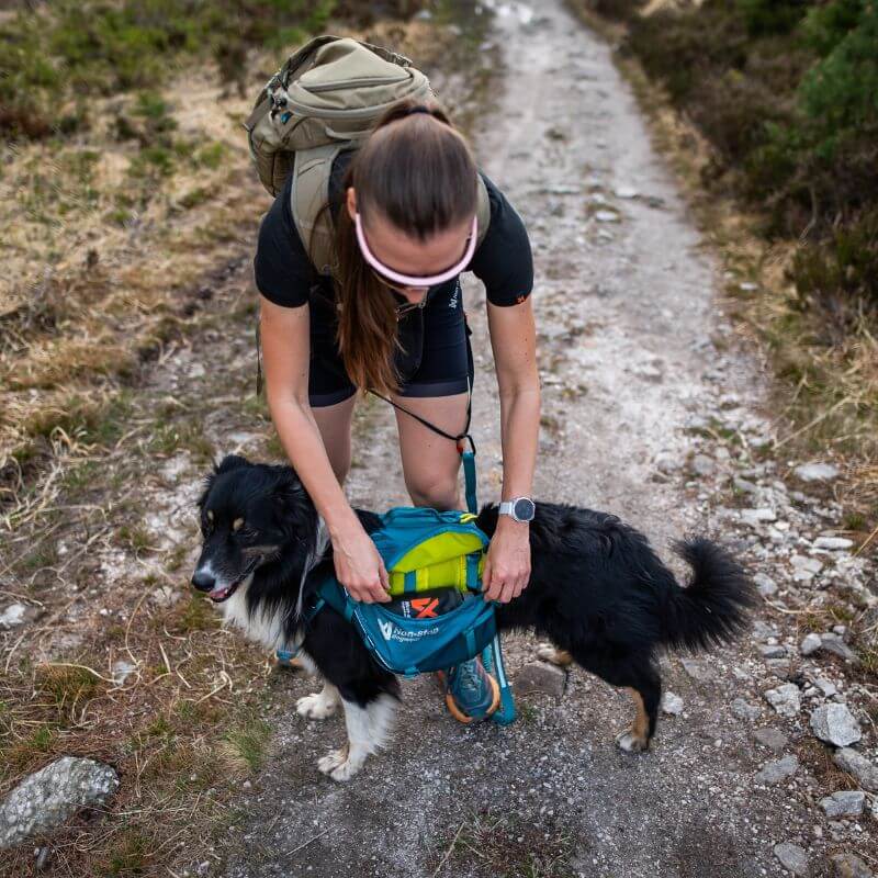Non-stop dogwear Trail quest dog backpack koiran reppu, sininen