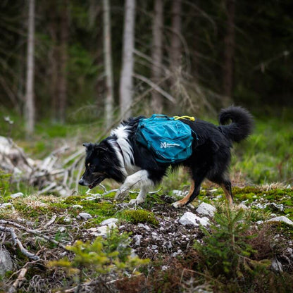 Non-stop dogwear Trail quest dog backpack koiran reppu, sininen