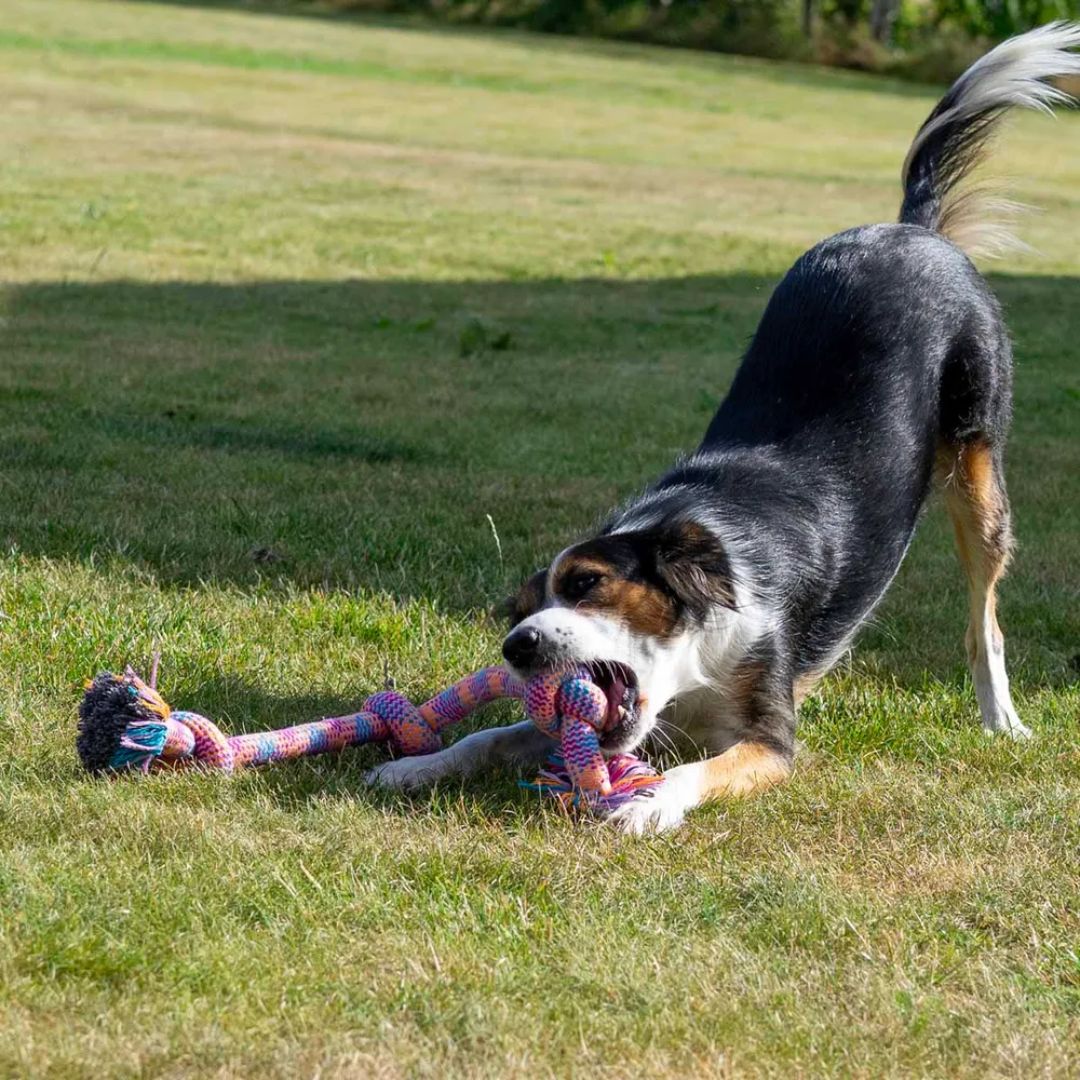 Ozami Big Rope 3 Knots 63cm köysilelu