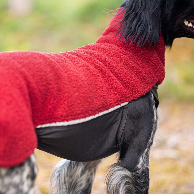 PolarPomppa Rowanberry