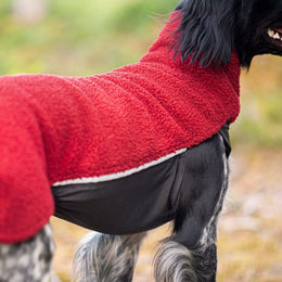 PolarPomppa Rowanberry