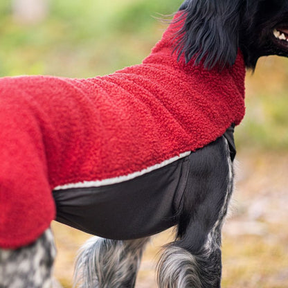 PolarPomppa Rowanberry