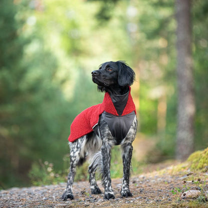 PolarPomppa Rowanberry