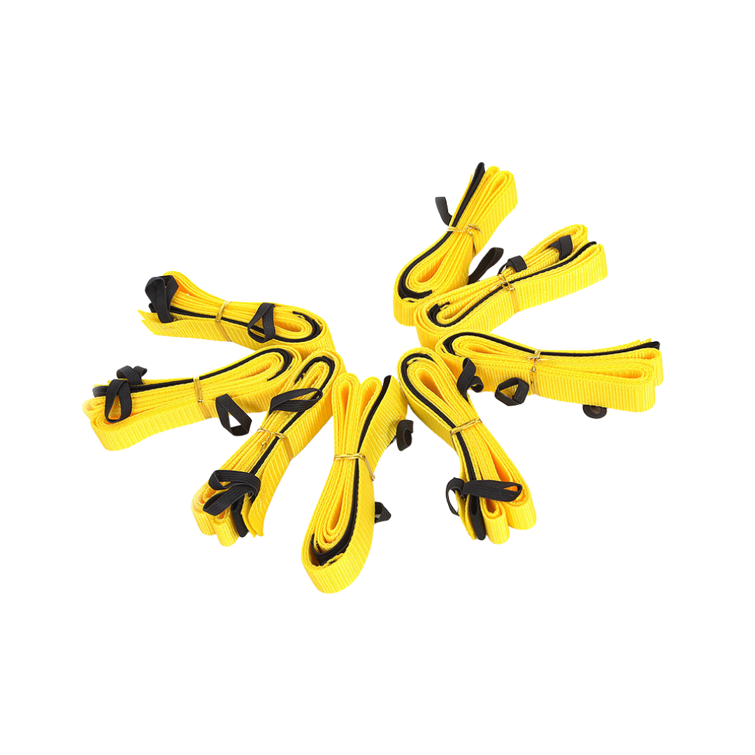 Procyon Longier ohjuri-setti