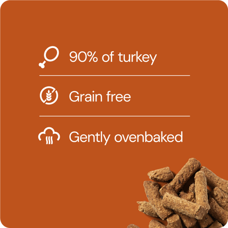 RAUH! Turkey Treat 100 g (Kalkkunaherkku)