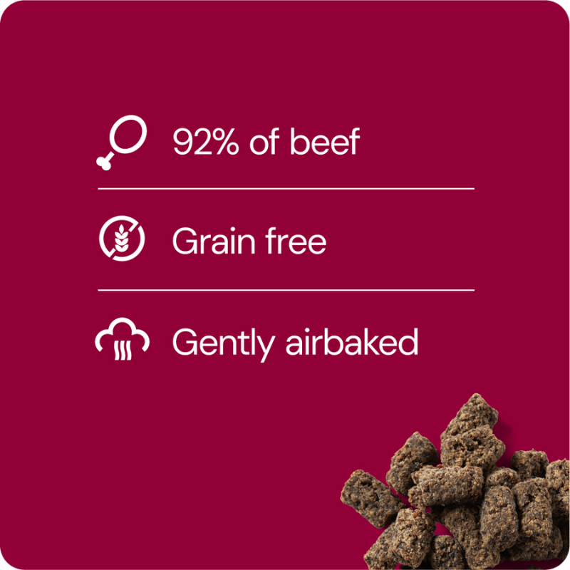 RAUH! Cold-dried Meatballs 100 g (Kylmäkuivatut lihapullat)