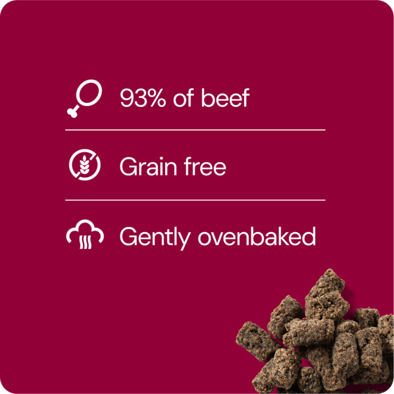 RAUH! Liver Treat 100 g (Maksaherkku)