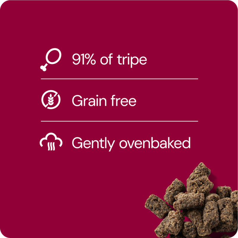 RAUH! Tripe Treat 100 g (Mahaherkku)