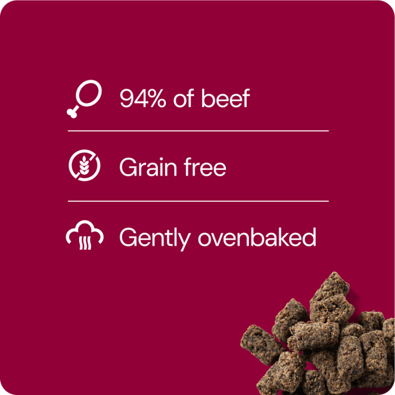 RAUH! Beef Treat 100 g (Nautaherkku)