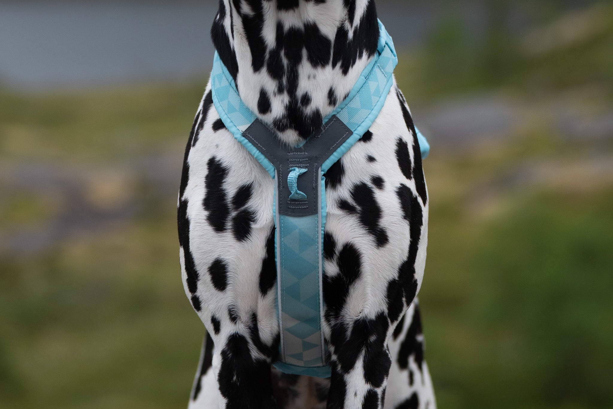 Non-Stop Dogwear Trekking Line Harnes CLIP'N Ice Blue etuosa