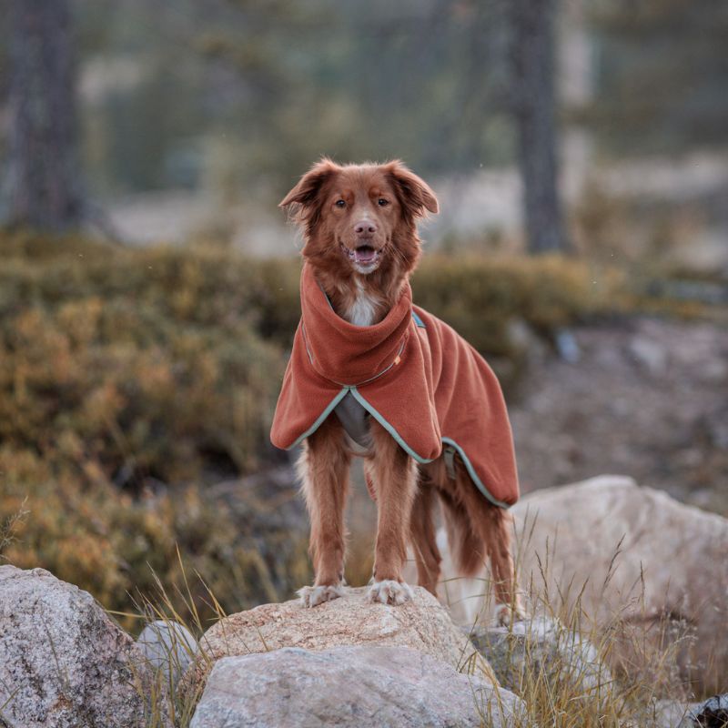 Woolly Wolf Alpha 360 fleecepaita Terracotta