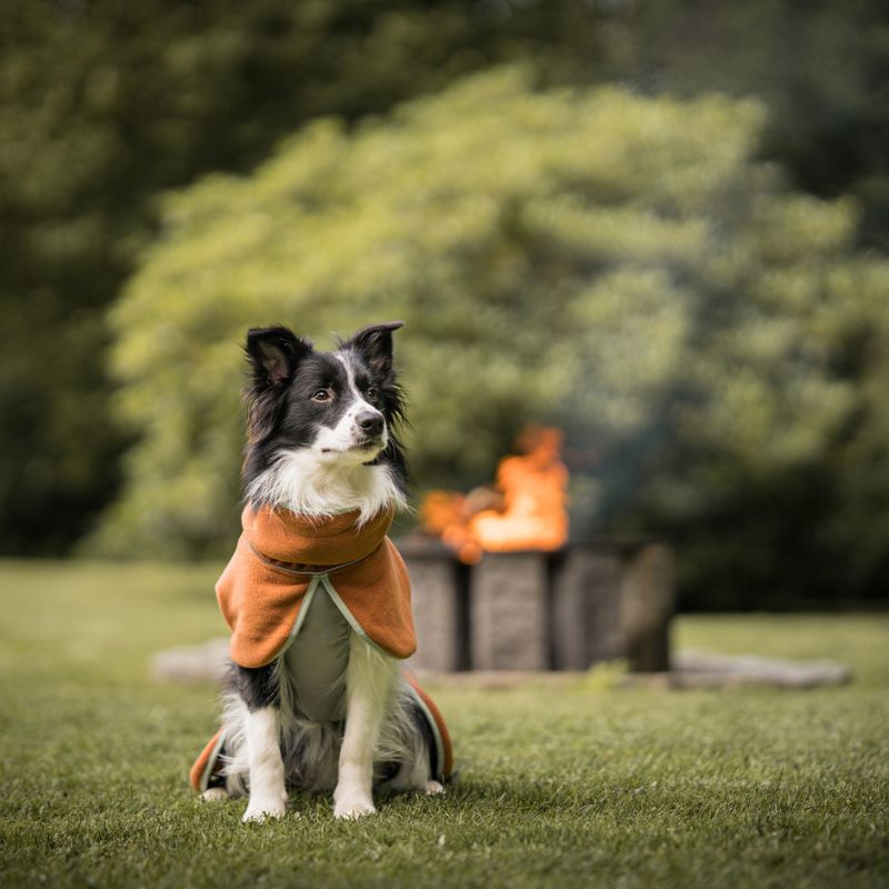Woolly Wolf Alpha 360 fleecepaita Terracotta