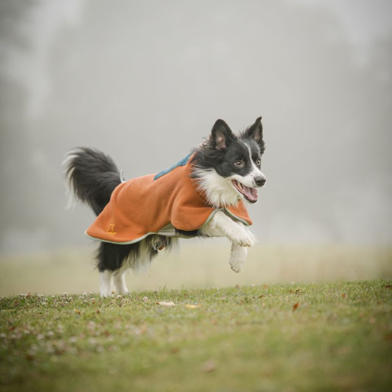 Woolly Wolf Alpha 360 fleecepaita Terracotta