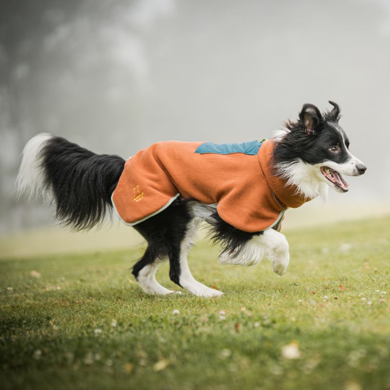 Woolly Wolf Alpha 360 fleecepaita Terracotta