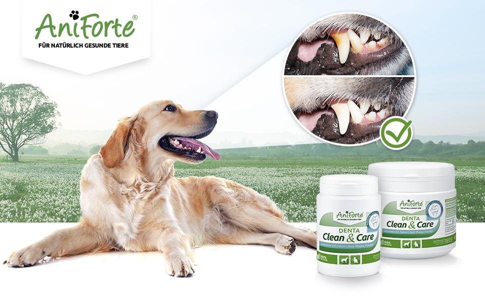 AniForte Denta Clean & Care jauhe lemmikille 80 g