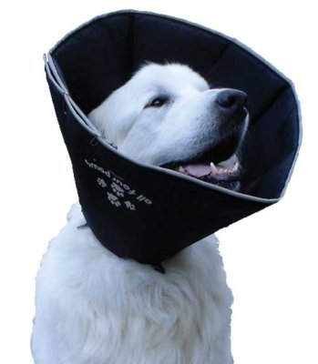 Koiralla on pehmeä ComfyCone kauluri kaulassa.