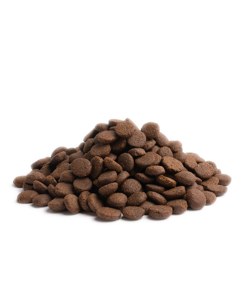 ESSENTIAL Breeder Living 12 kg viljaton koiranruoka