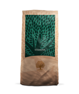 ESSENTIAL STAMINA 10 kg viljaton kuivaruoka
