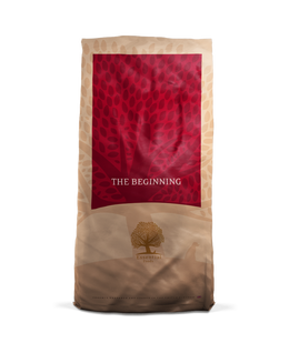 ESSENTIAL THE BEGINNING 10 kg viljaton penturuoka