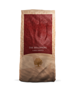 ESSENTIAL THE BEGINNING LARGE BREED 10 kg viljaton penturuoka